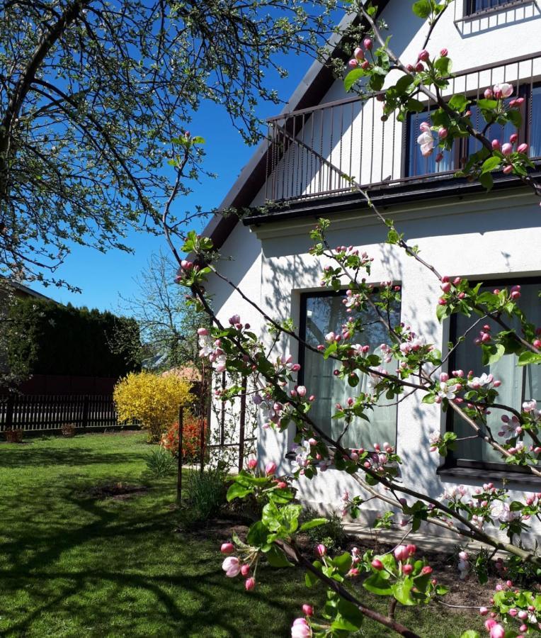 Dina Apartments Druskininkai Dış mekan fotoğraf